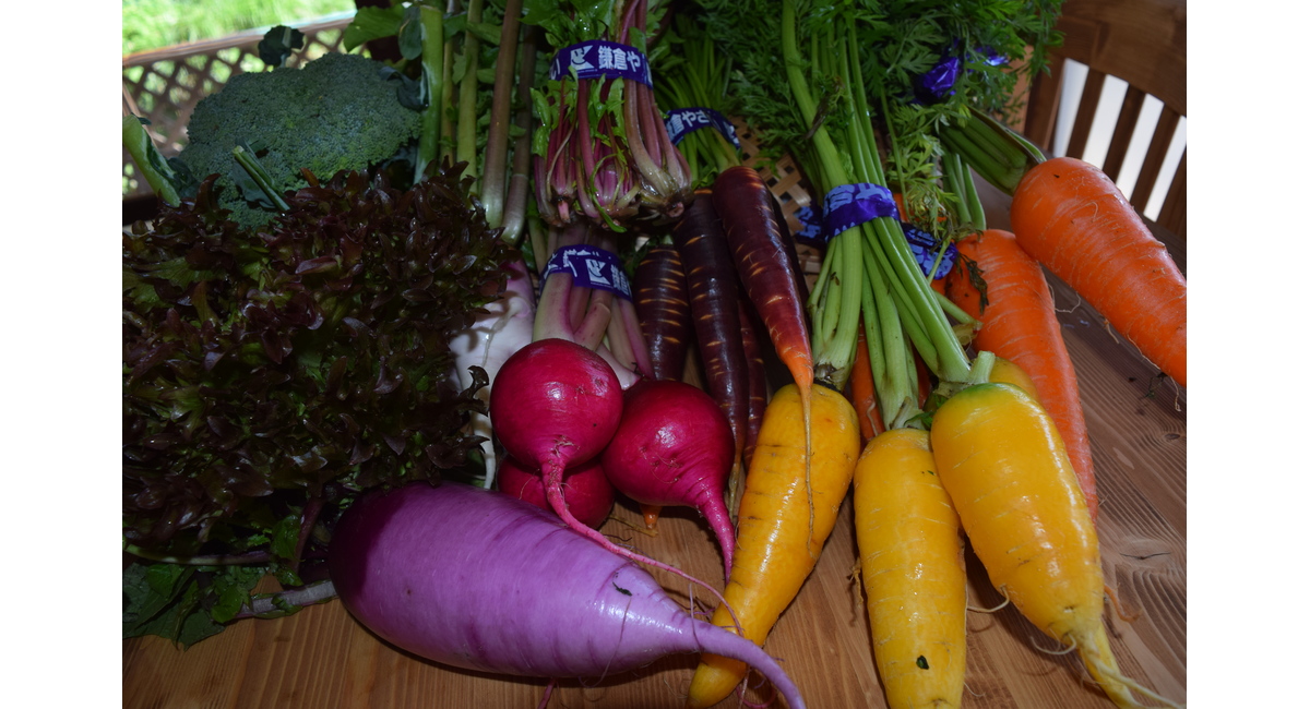 甘くておいしい鎌倉野菜はお子様も喜んでパクパク♪