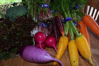 甘くておいしい鎌倉野菜はお子様も喜んでパクパク♪
