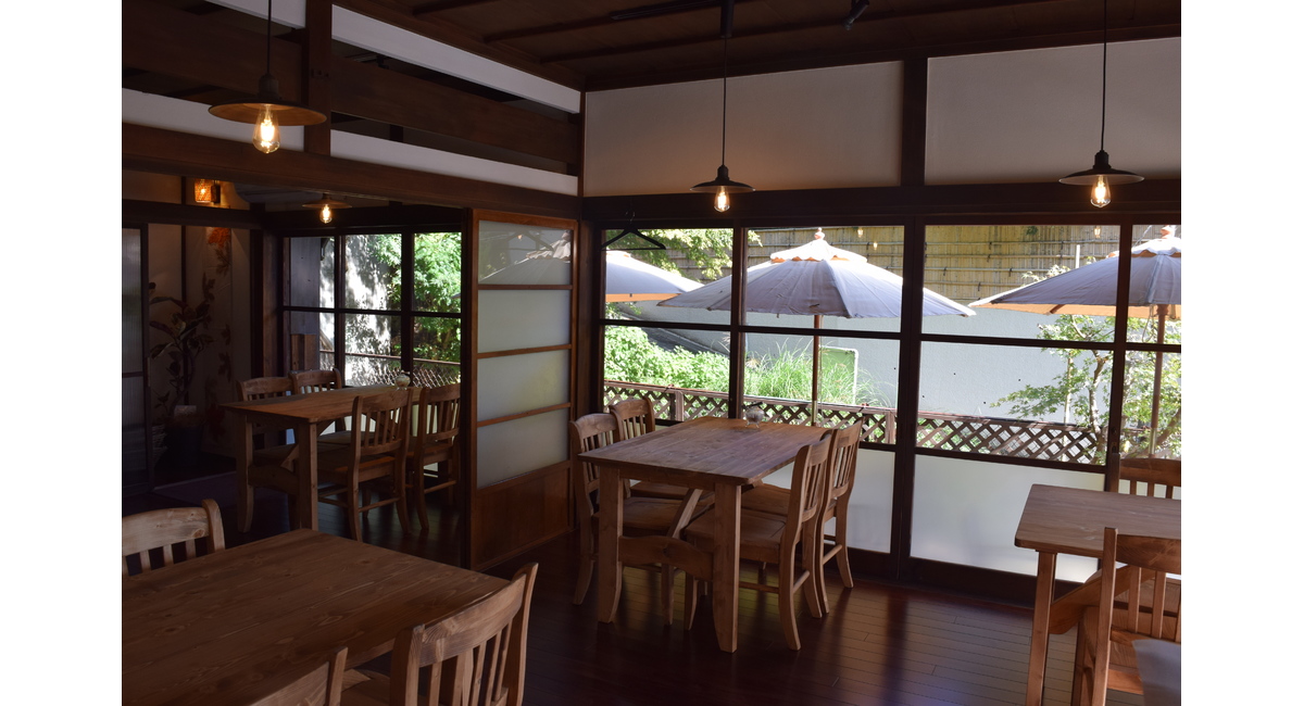 緑が見える追いついた店内