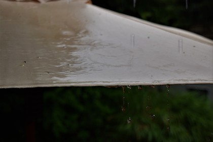 降り注ぐ雨の音が心地よい