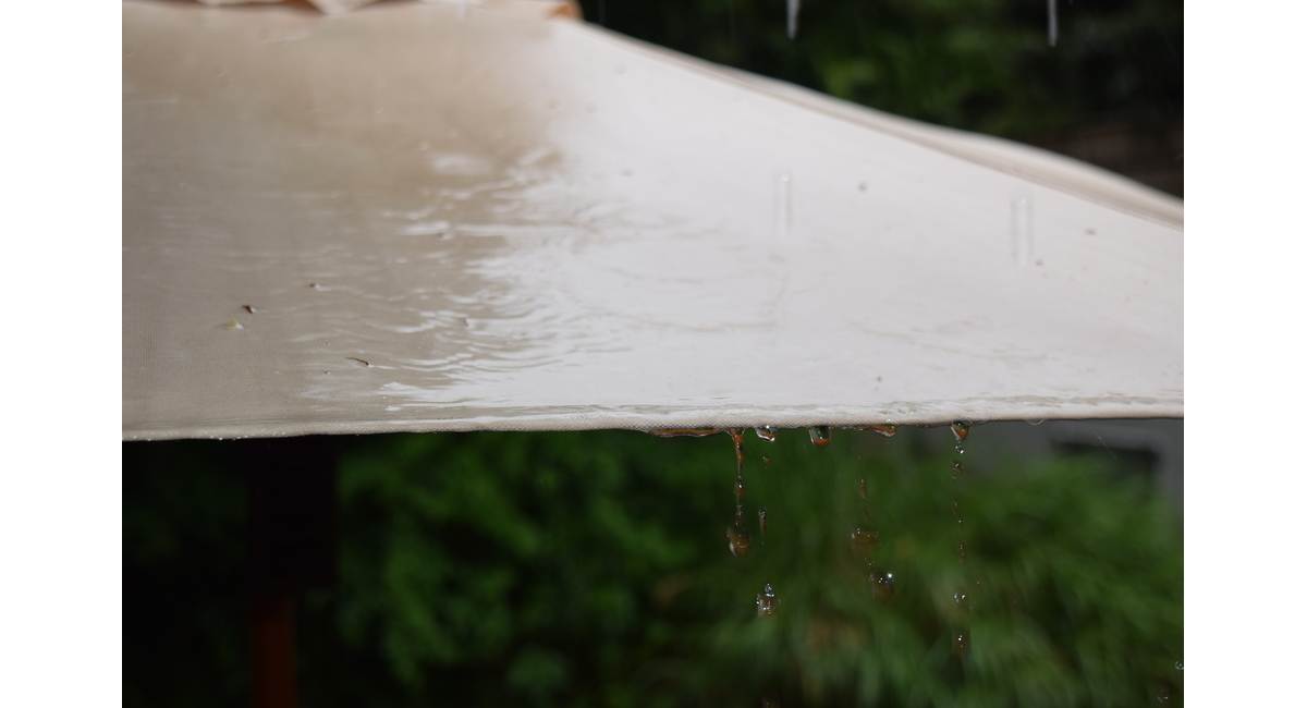 雨の日の鎌倉って素敵なんですよ♡