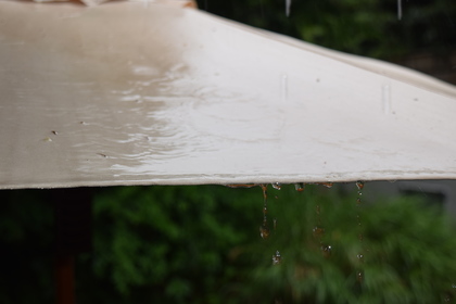 雨の日の鎌倉って素敵なんですよ♡