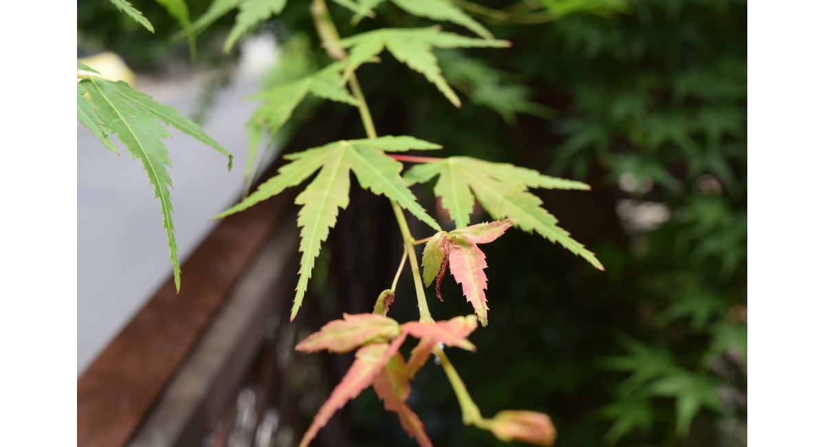 テラス席で一息☕♪
